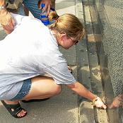 Placing wings underneath Gary's name. Photo courtesy of Bob Steinberg.