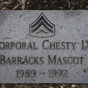 Chesty's tombstone.