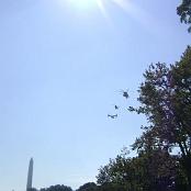 The flyover.