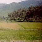 The location of my father's helicopter crash in Vietnam - taken August, 1999. Photo courtesy of Bill Stilwagen.
