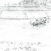 A sketch rendering scene of helicopter crash site in Vietnam as directed by Courtney Payne. Drawing done by Fred and Sandy Marshall.